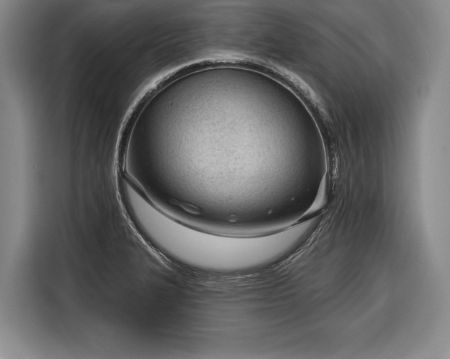 X0000116341327200912091102