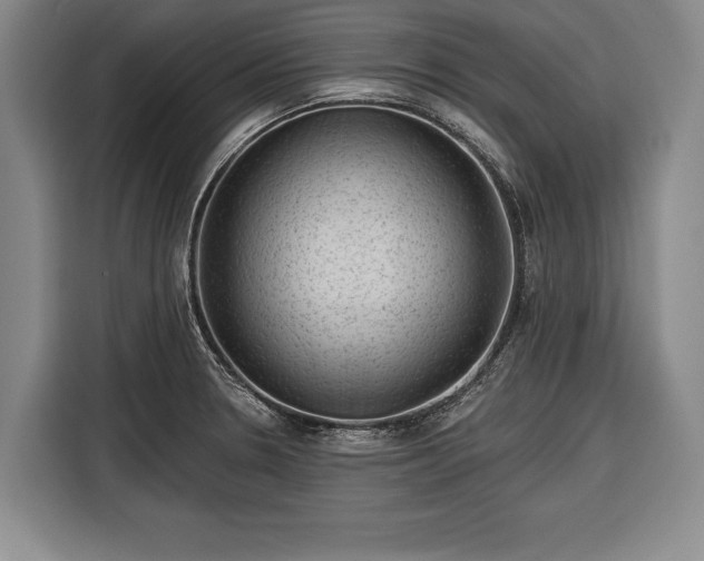 X0000116341330200912091102