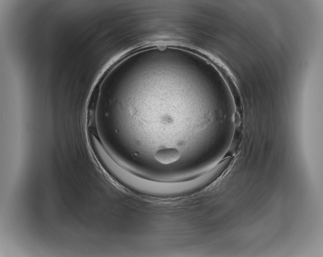 X0000116341333200912091102