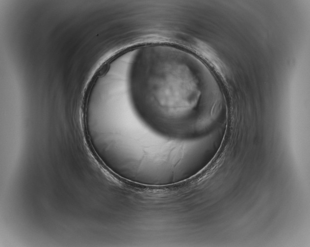 X0000116341334200912091102