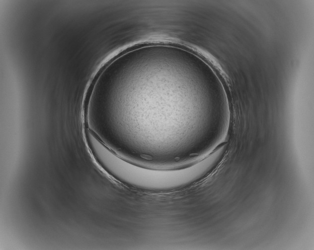 X0000116341335200912091102