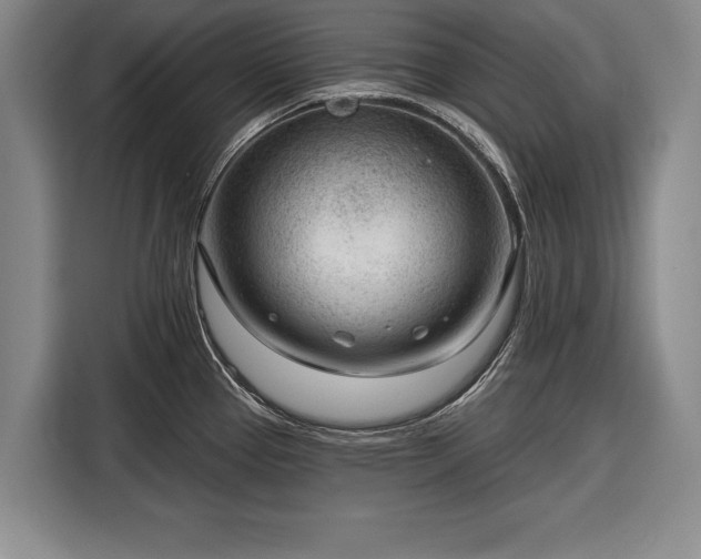 X0000116341337200912091102