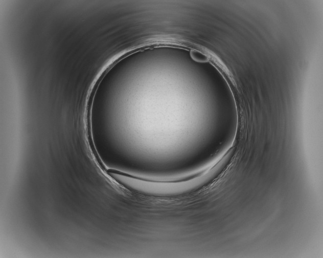 X0000116341339200912091102