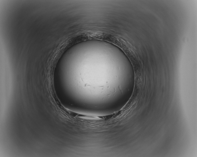 X0000116341345200912091101