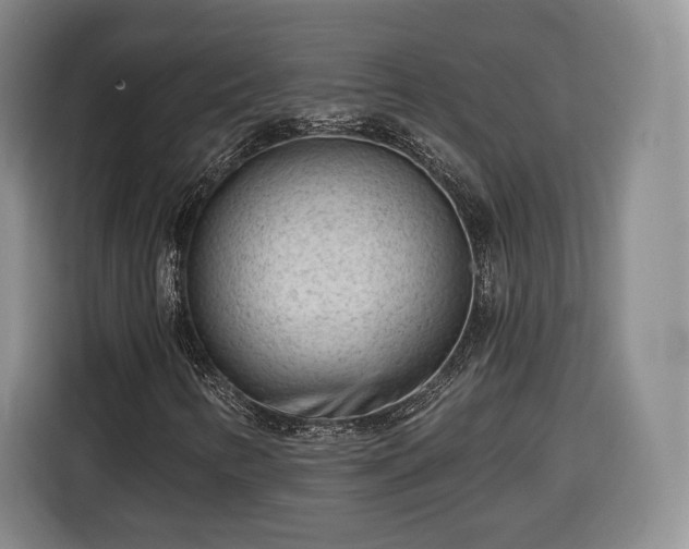 X0000116341346200912091101