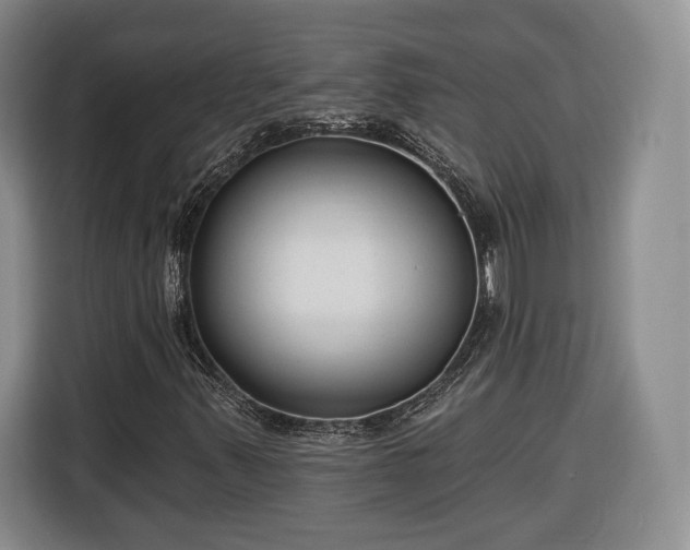 X0000116341347200912091101