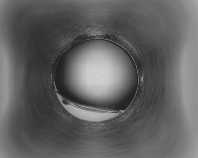 X0000116341348200912091101