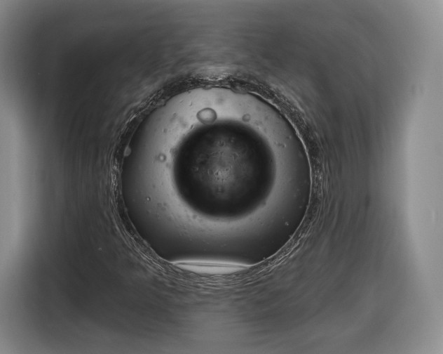 X0000116341349200912091101