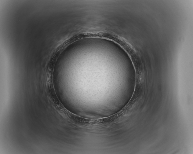 X0000116341350200912091101