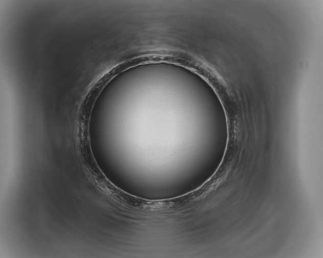 X0000116341352200912091101