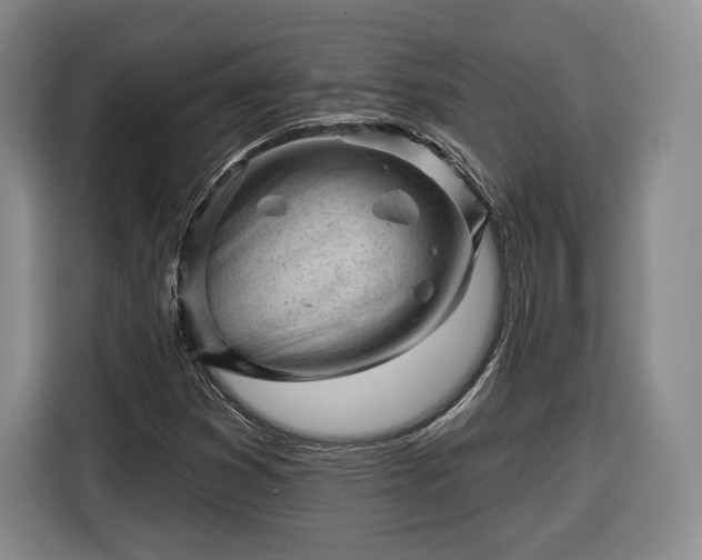 X0000116341353200912091101