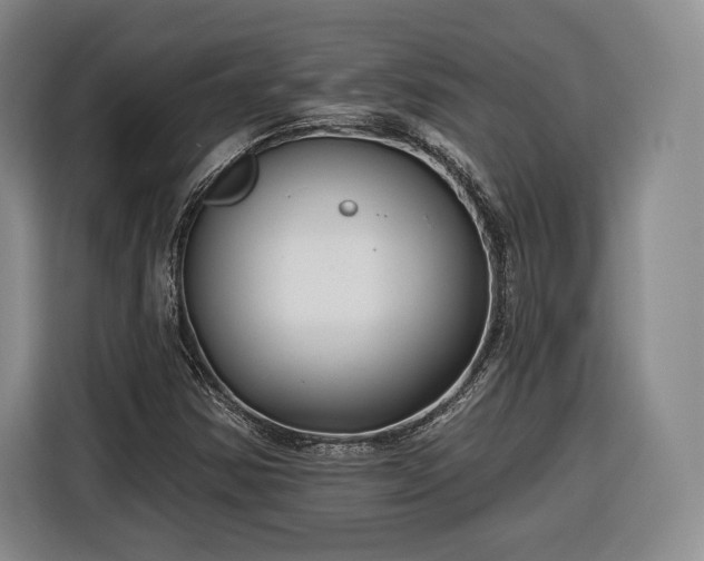 X0000116341354200912091101