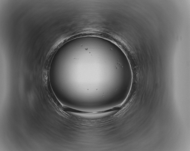 X0000116341355200912091101