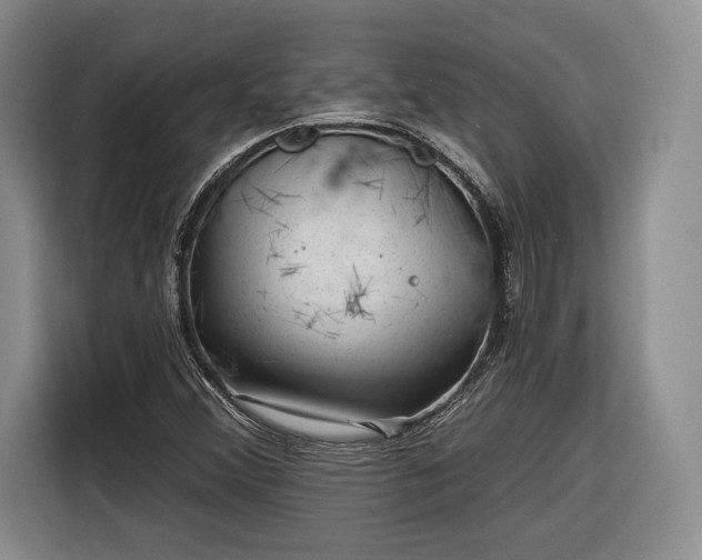 X0000116341356200912091101