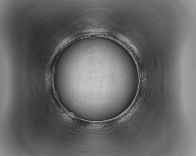 X0000116341357200912091101