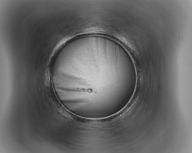 X0000116341358200912091101