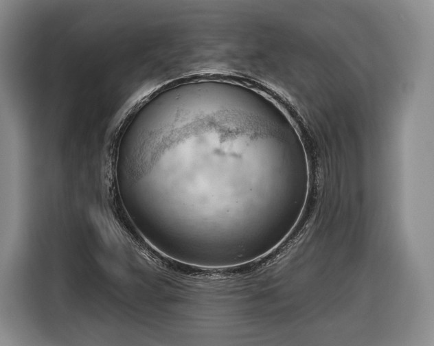 X0000116341359200912091101