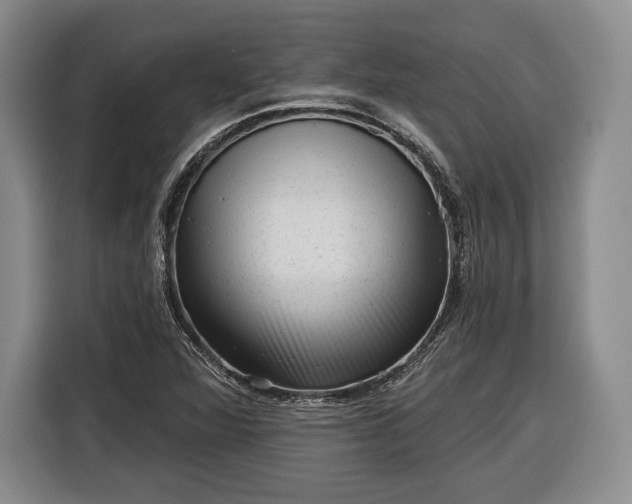 X0000116341360200912091101