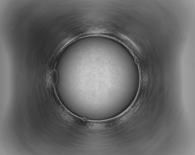 X0000116341361200912091101