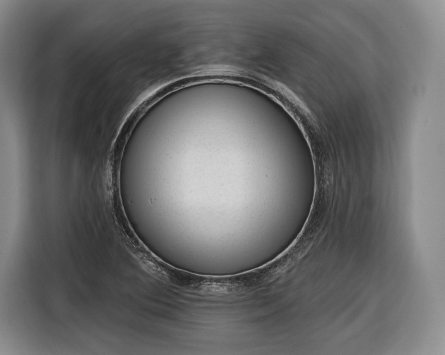 X0000116341364200912091101