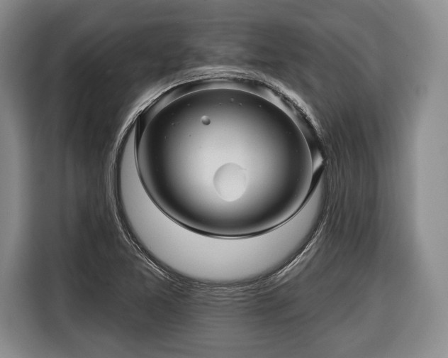 X0000116341365200912091101