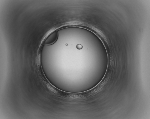 X0000116341366200912091101