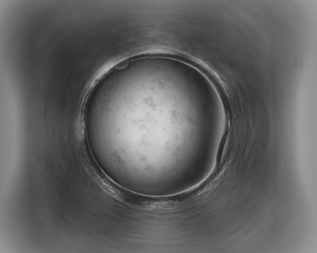 X0000116341367200912091101