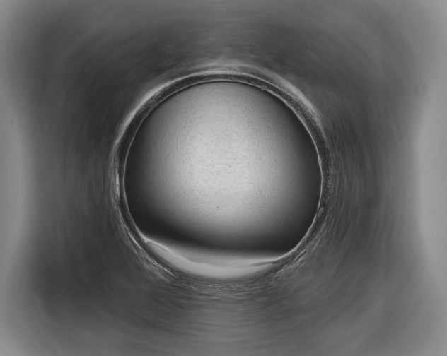 X0000116341368200912091101