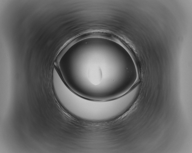 X0000116341369200912091101