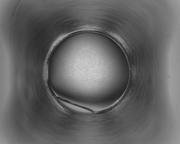 X0000116341371200912091101