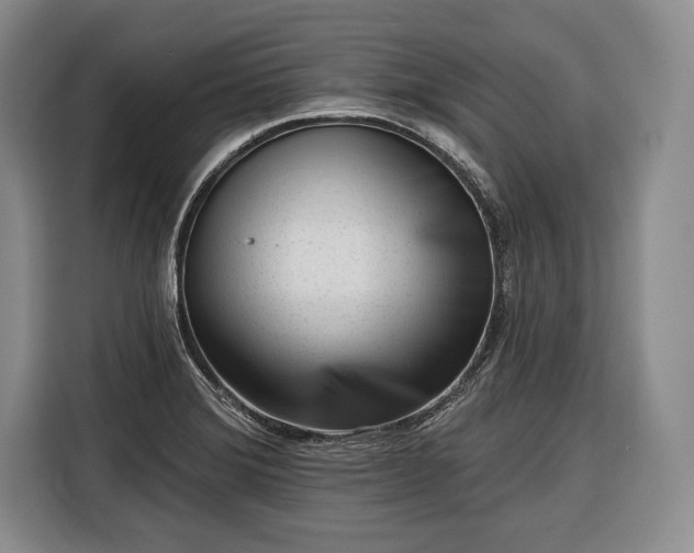 X0000116341372200912091101