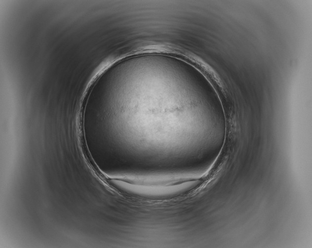 X0000116341373200912091101