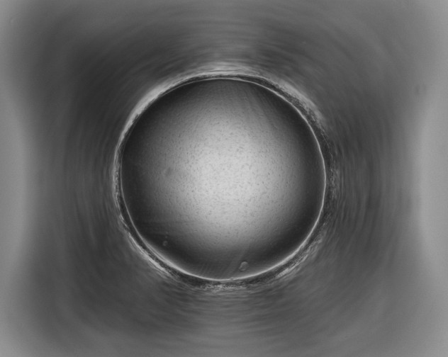 X0000116341374200912091101