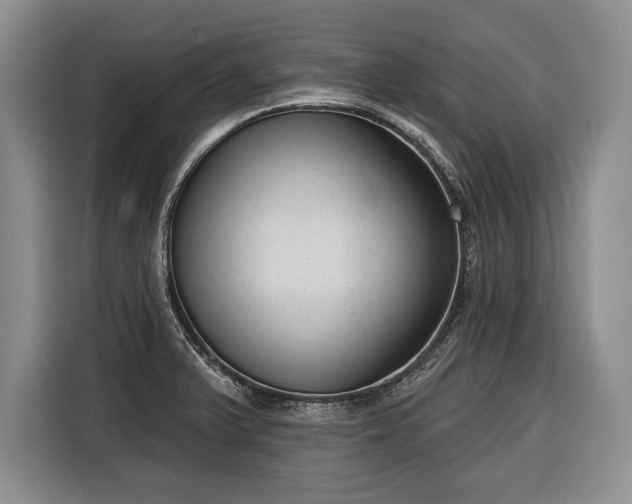 X0000116341375200912091101