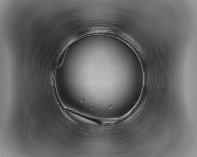 X0000116341377200912091101