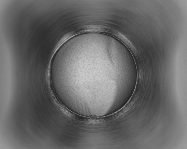 X0000116341378200912091101