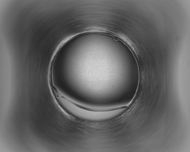 X0000116341379200912091101