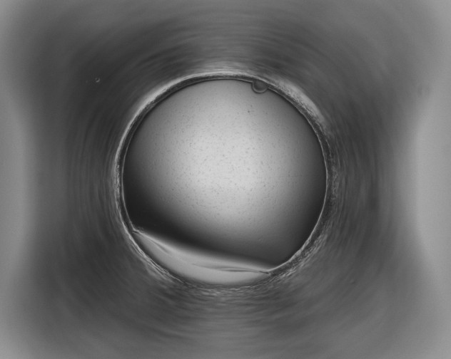 X0000116341380200912091101