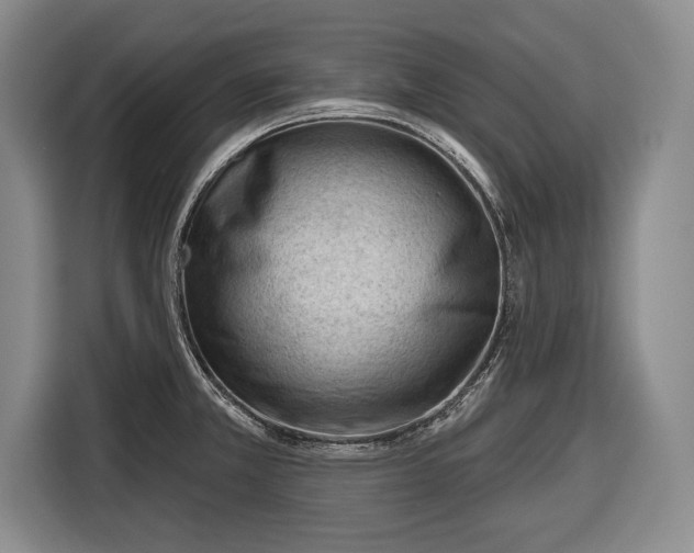 X0000116341381200912091101