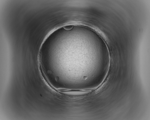 X0000116341382200912091101