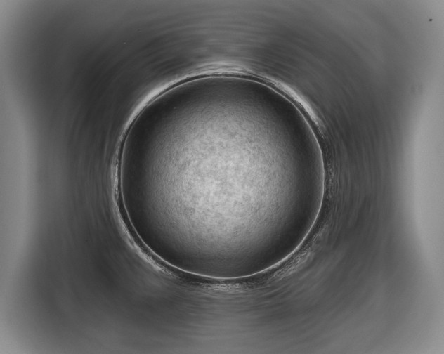 X0000116341383200912091101