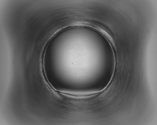 X0000116341384200912091101