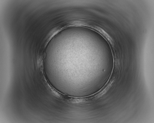 X0000116341385200912091101