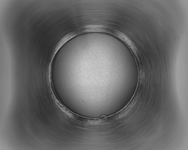 X0000116341386200912091101