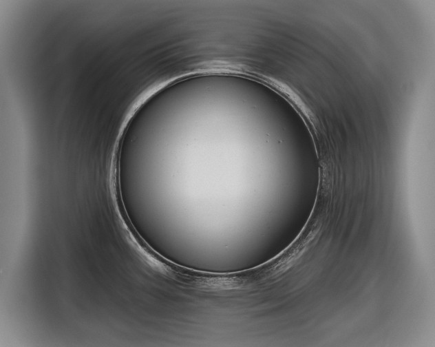 X0000116341387200912091101