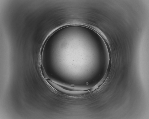 X0000116341388200912091101