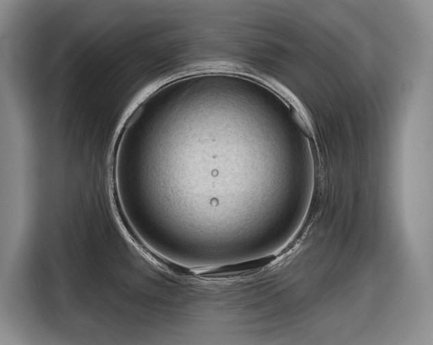 X0000116341389200912091101