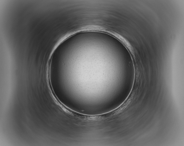 X0000116341390200912091101