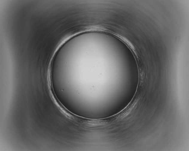 X0000116341391200912091101