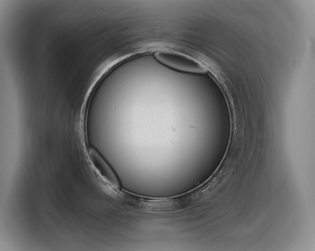 X0000116341392200912091101